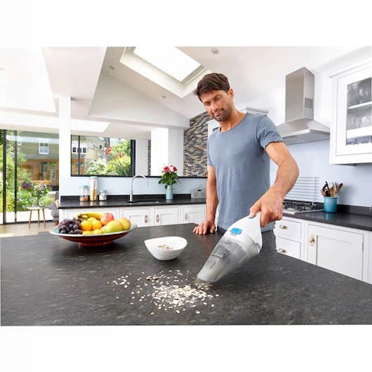 3.6V Cordless Dustbuster® Hand Vacuum 5.4lt