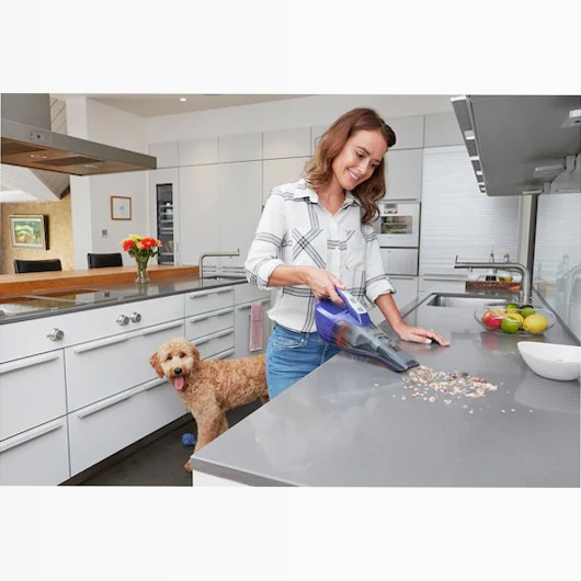 12V 1.5Ah Cordless Pet Dustbuster® Hand Vacuum 1.5lt A Beige