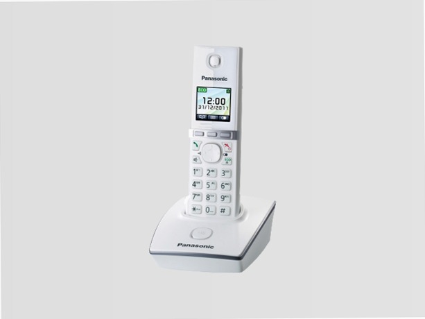 KX-TG2511 - Cordless DECT senza Segreteria Telefonica