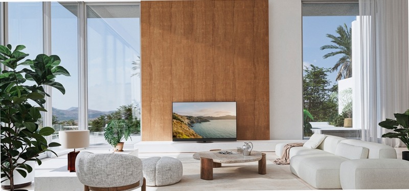 TV-55Z95BEG 55", OLED, 4K HDR Smart TV 55" HD OLED
