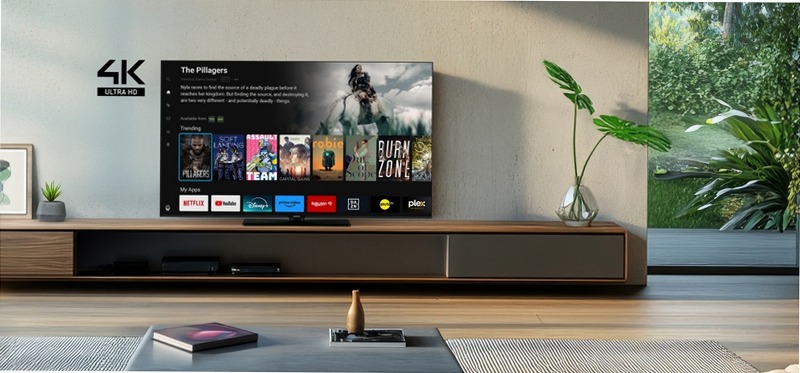 TV Ultra HD 4K LED Panasonic Serie W61A Inox 50"