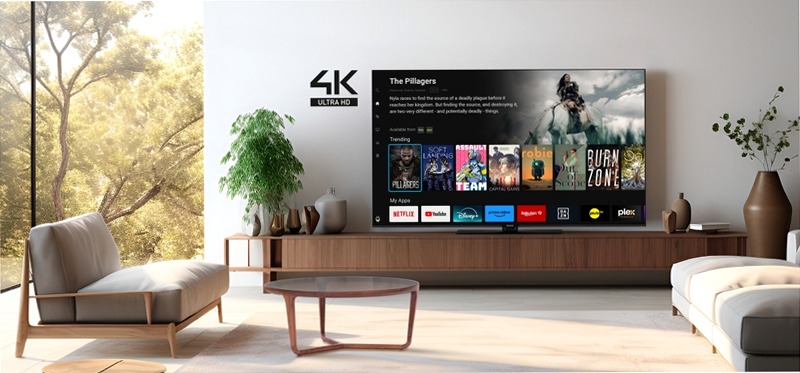 TV Ultra HD 4K LED Panasonic Serie W60 Inox