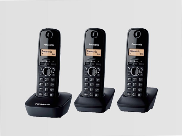 KX-TG1613 - Panasonic Cordless DECT con Segreteria Telefonica