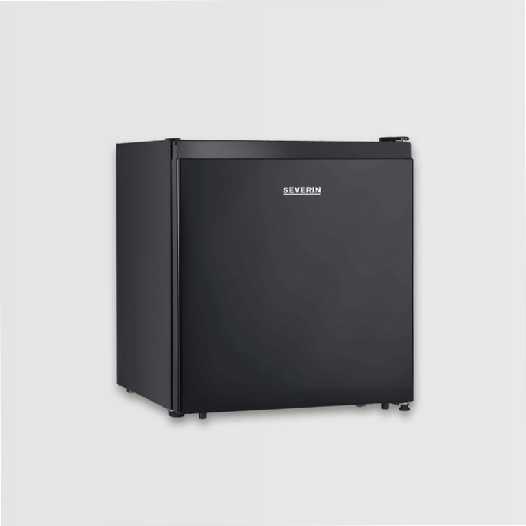 Kühlbox mit Kältefach (Schwarz) - Severin E