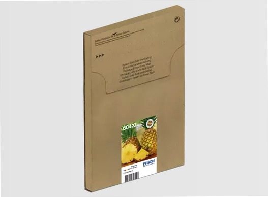 Multipack 4-colours 604XL EasyMail