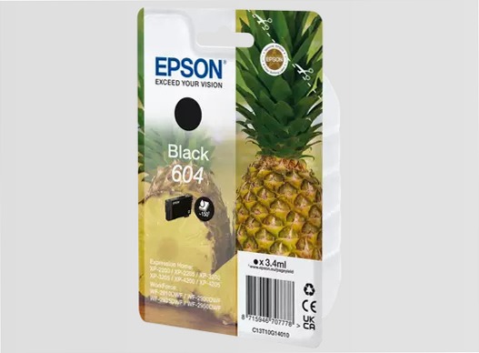 604 Pineapple Singlepack Black Ink