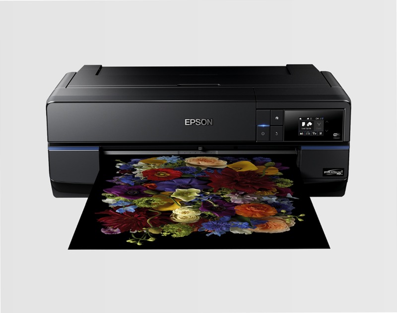 SureColor SC-P800 120fogli