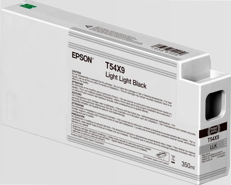 Singlepack Light Light Black T54X900 UltraChrome HDX/HD 350ml