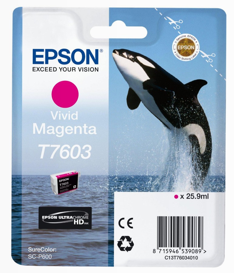 T7603 Viv Magenta
