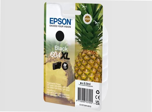 Singlepack Black 604XL Ink