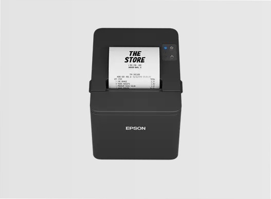 Epson TM-T20IV, stampante termica POS per scontrini, USB+seriale