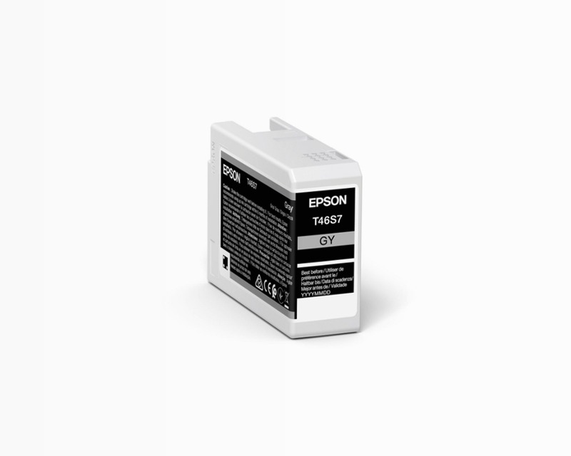Singlepack Gray T46S7 UltraChrome Pro 10 ink 25ml