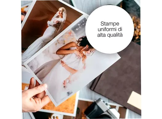 Singlepack Black 33 Claria Premium Ink