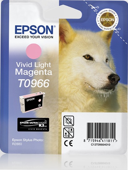 Singlepack Vivid Light Magenta T0966