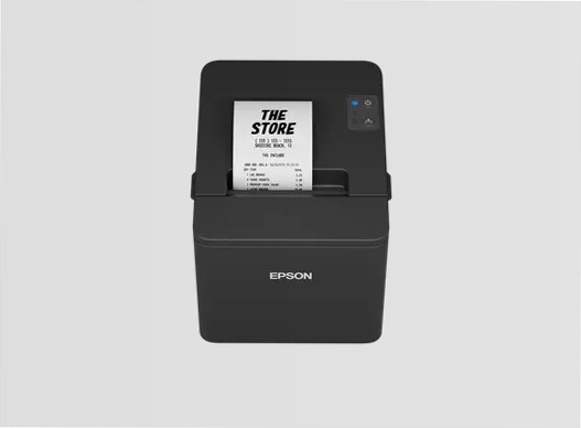 Epson TM-T20IV Series