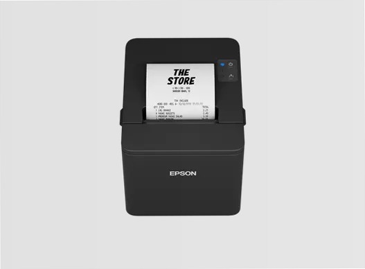 Epson TM-T20IV Series