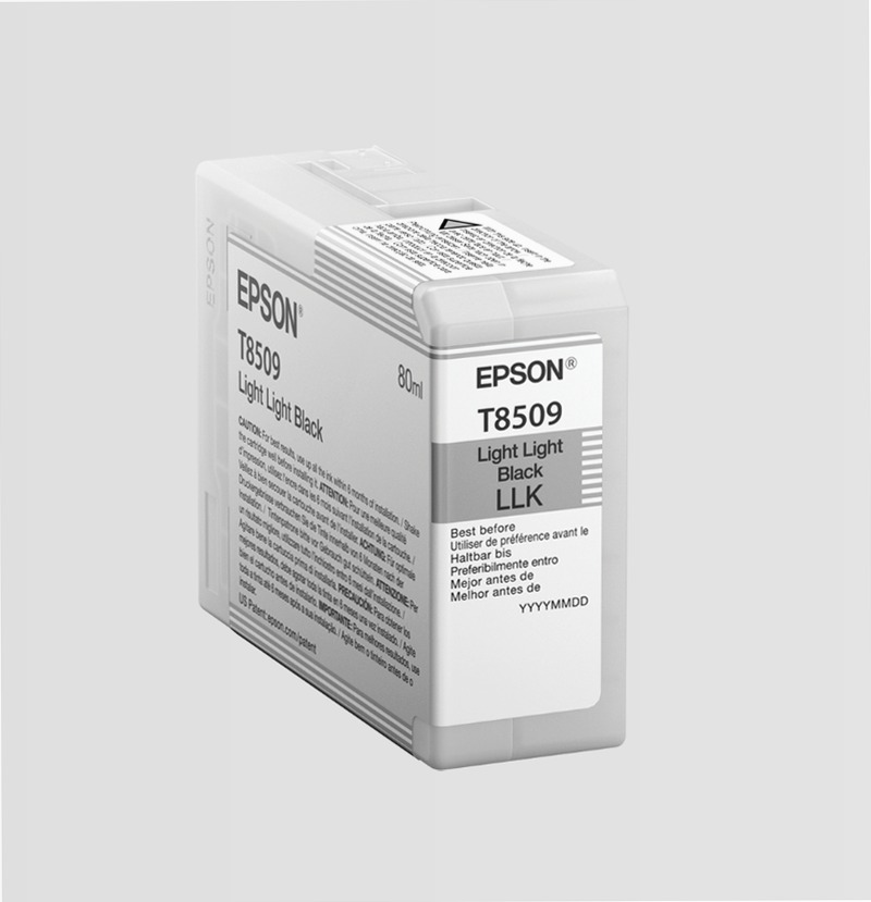 Singlepack Light Light Black T850900 UltraChrome HD ink 80ml