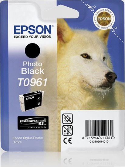 Singlepack Photo Black T0961