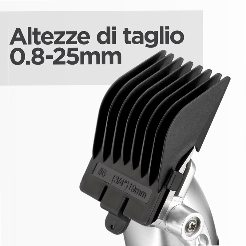 Tagliacapelli Lithium Power