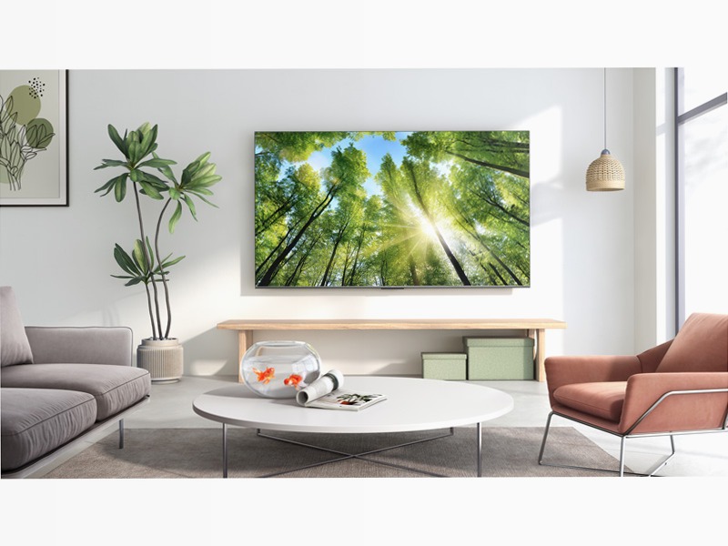 TCL Serie P73 - TV WCG 4K Google TV