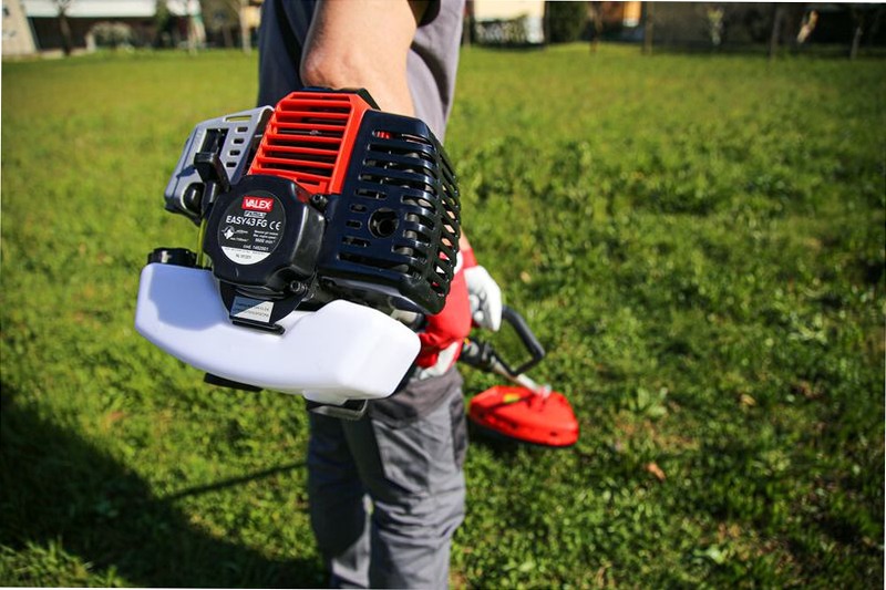 Decespugliatore a scoppio Easy 43FG