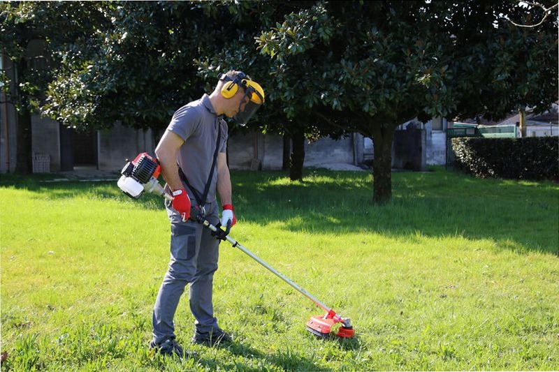 Decespugliatore a scoppio Easy 43FG