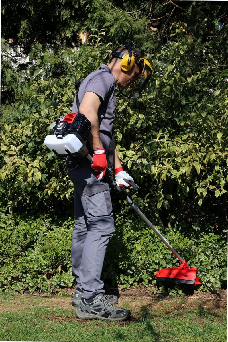 Decespugliatore a scoppio Easy 43FG