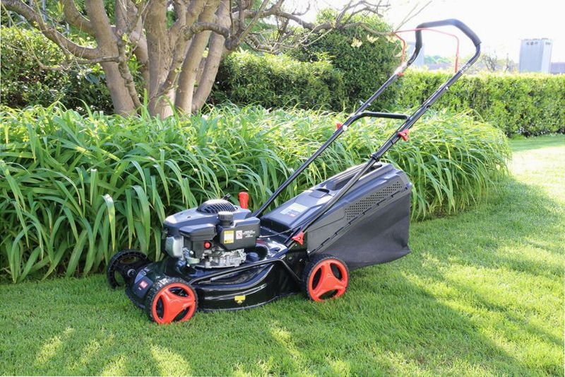 TAGLIAERBA A SCOPPIO TS4636