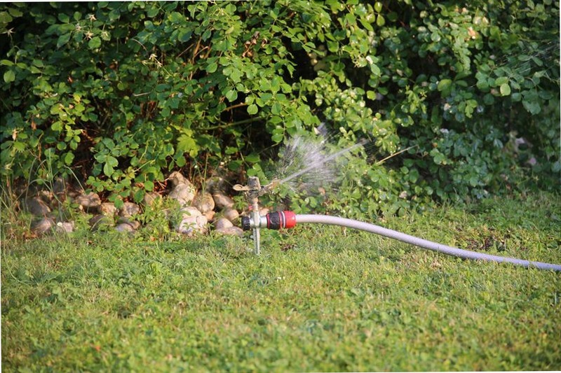 Irrigatore su Puntale Metallico
