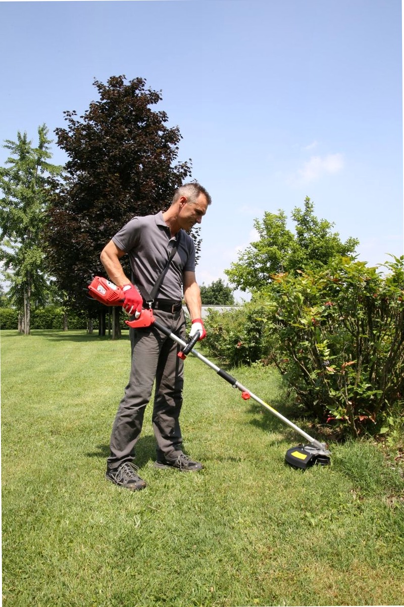 Decespugliatore elettrico Valex DE2700