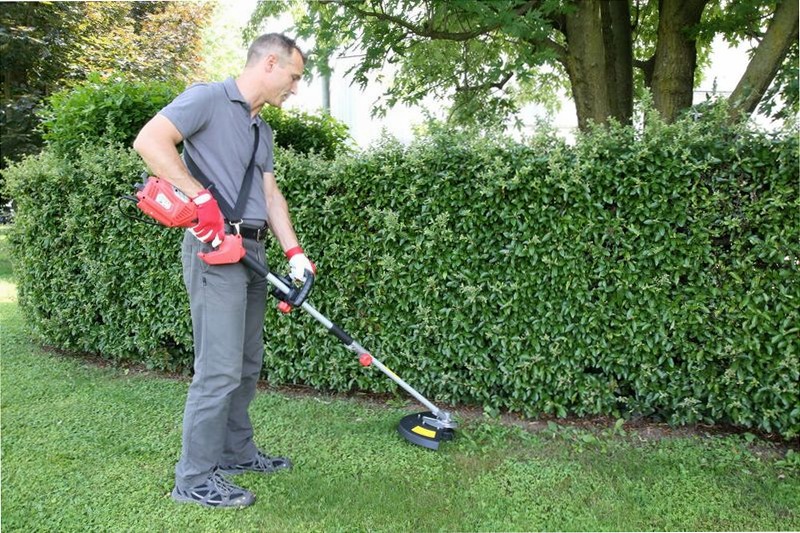 Decespugliatore elettrico Valex DE2700