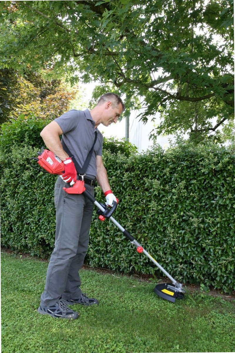 Decespugliatore elettrico Valex DE2700