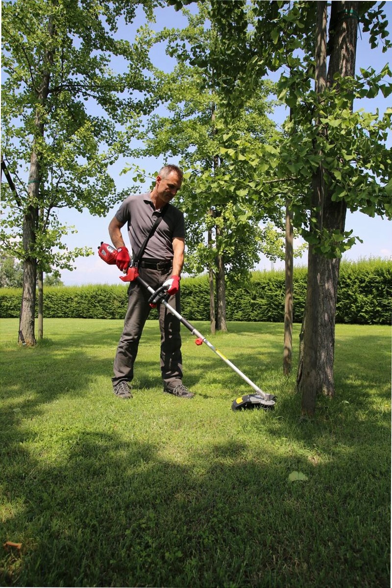 Decespugliatore elettrico Valex DE2700