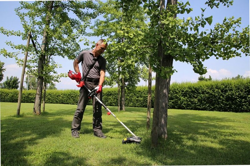 Decespugliatore elettrico Valex DE2700