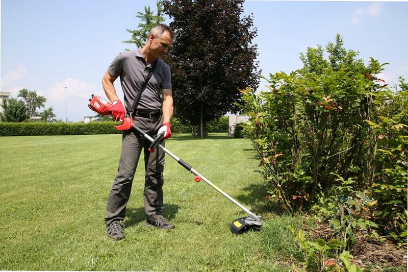 Decespugliatore elettrico Valex DE2700