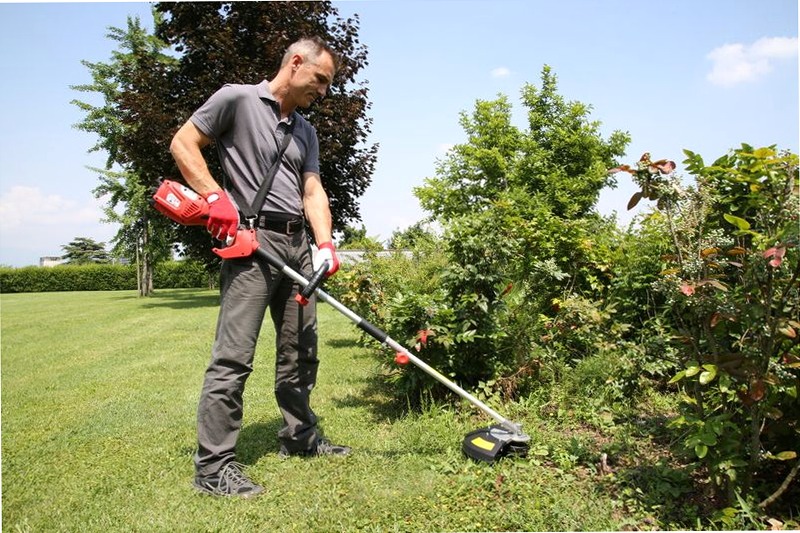Decespugliatore elettrico Valex DE2700