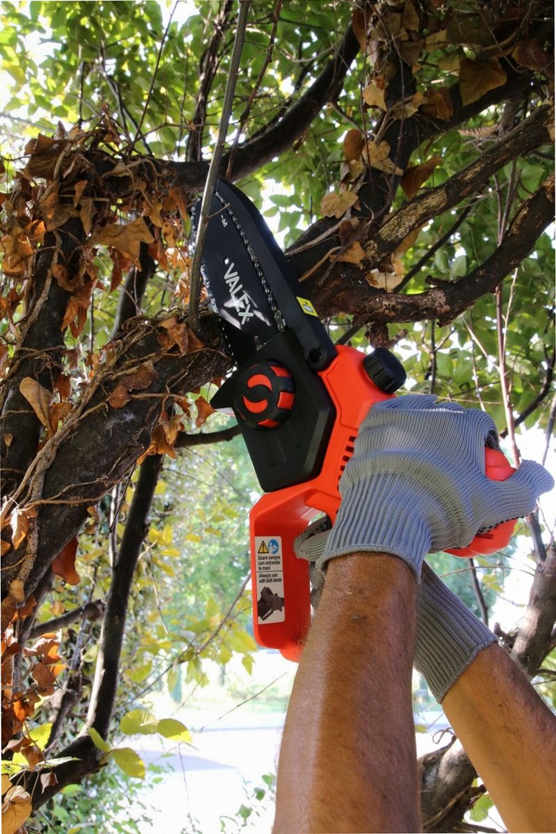 ELETTROSEGA DA POTATURA TORONTO 240